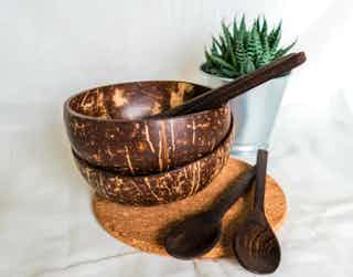 eco-friendly dinnerware in sustainable kitchen items