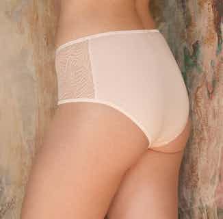 Savannah | Organic Cotton & Recycled Lace Brief | Pale Pink from Olly in eco friendly undies for women, Women's Sustainable Clothing