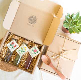 Botanical Tea Gift Set | Rhododendron & Basil, Dandelion, Rosehip & Mint from Clean U Skincare in plant based snack boxes & hampers, Sustainable Food & Drink