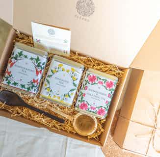 Luxury Botanical Tea Gift Set | Coconut Spoon, Bamboo Strainer, Natural Tea from Clean U Skincare