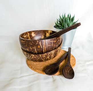 Repurposed Organic Natural Coconut Bowl & Spoon | Single from Clean U Skincare in eco-friendly dinnerware, sustainable kitchen items