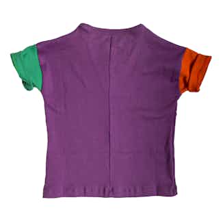 Disruptor | GOTS Certified Organic Cotton Kid's Tee | Purple, Green, Red Swingset from Nudnik in sustainable baby & toddler clothing, Sustainable Children's Clothing