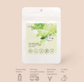 Zero Waste Natural Hair & Body Wash Refill | Zesty Lime | 40g/500ml from Milly & Sissy in Sustainable Beauty & Health