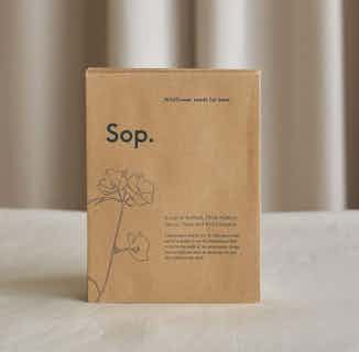 Wildflower Seeds | Garden Seeds in Recycled Packaging from Sop in Sustainable Homeware & Leisure