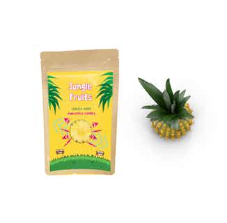 Gently Dried Pineapple Chunks | 8x30g Servings from Jungle Fruits in eco-friendly snacks, Sustainable Food & Drink