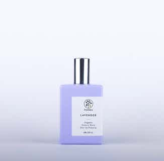 Lavender Organic Single Note Eau de Parfum | 50ml from Haoma in organic essential oil perfumes, Sustainable Beauty & Health