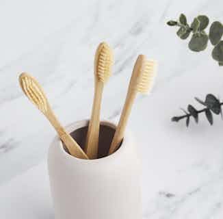 Bamboo Eco- Friendly Biodegradable Toothbrush from Tabitha Eve