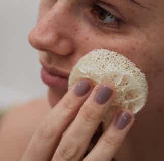 Biodegradable Natural Exfoliating Loofah Discs | Set of 3 or 5 from Tabitha Eve