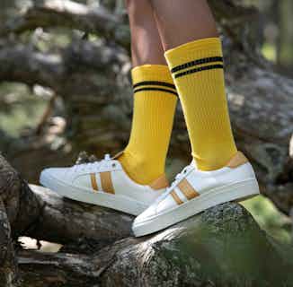 Vegan Leather & Recycled Plastic Striped Trainers | Gentle Gold from All My Eco in ethical men's trainers, sustainable footwear for men