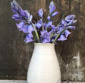 St. Clements | Ethically Handmade British Sourced Clay Vase | Plain from Oxford Clay in eco-friendly homeware, Sustainable Homeware & Leisure