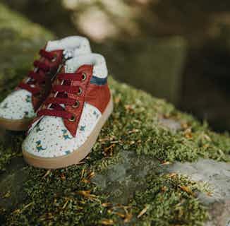 Dinosaur | Organic Cotton and Pineapple Leaf Fibre Sustainable Childrens Shoe from Pip & Henry